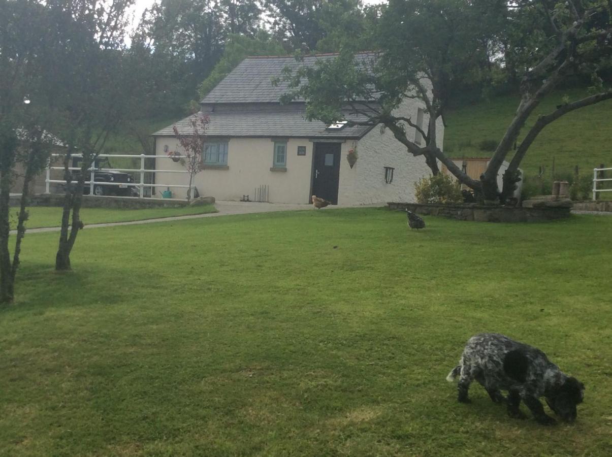 The Little Cow Shed Villa สวอนซี ภายนอก รูปภาพ